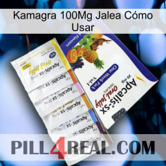 Kamagra 100Mg Jalea Cómo Usar 11